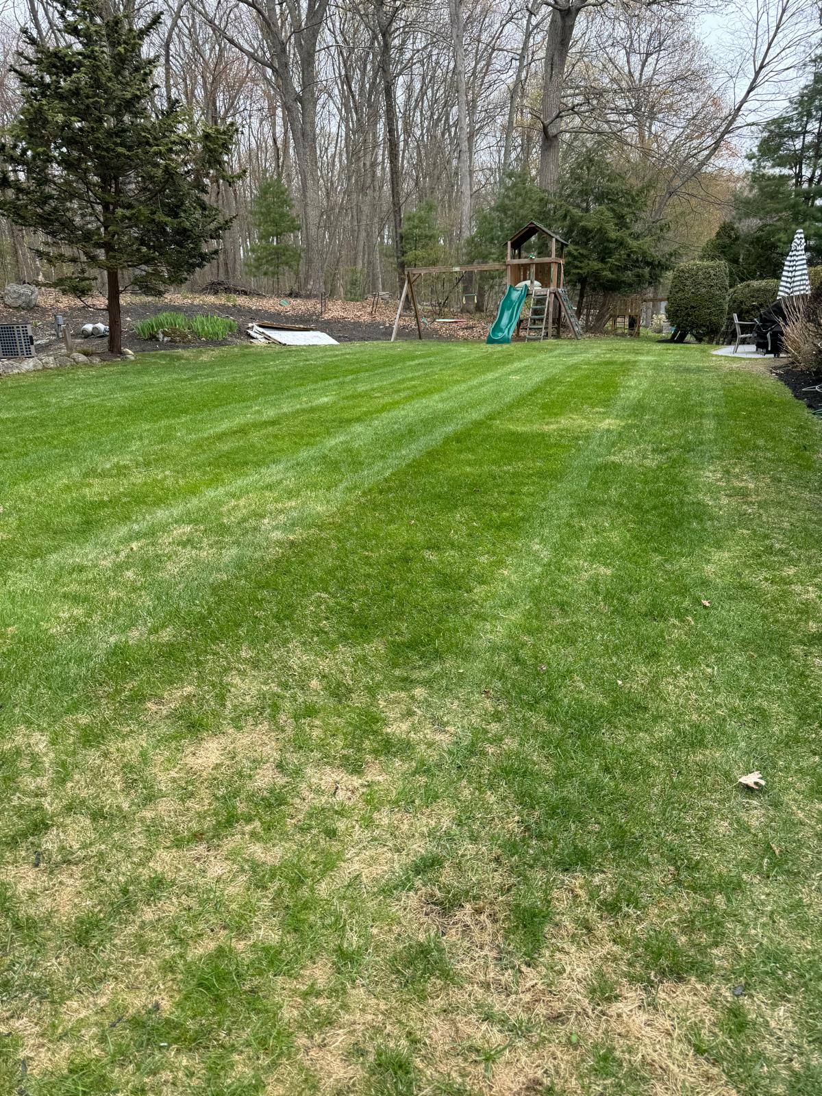 Lawn detail