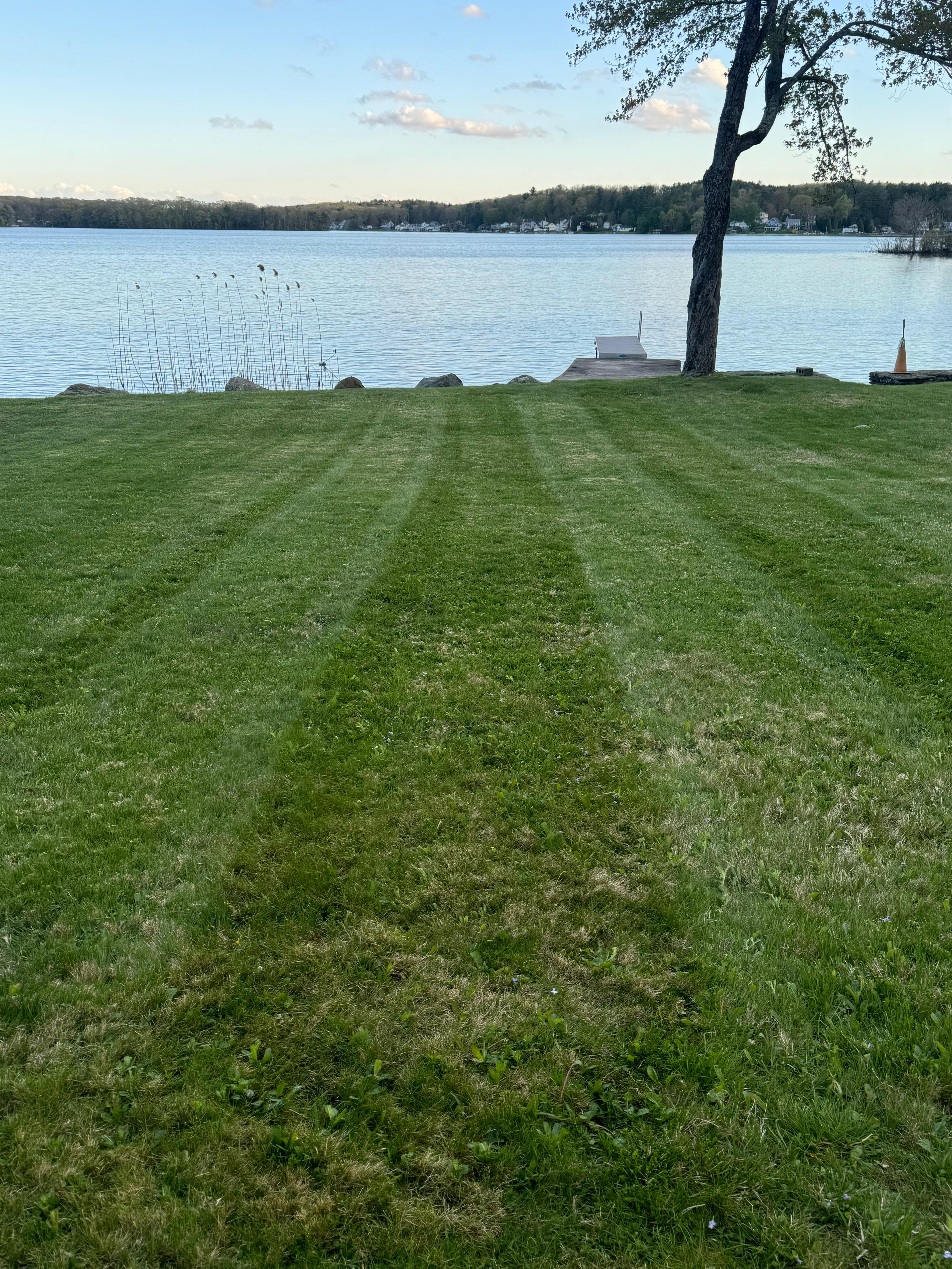 Landscaping gallery project